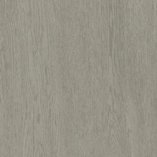 (Demensvenligt) Tarkett Acczent Excellence Oak Tree Grey, heterogen vinyl gulv 