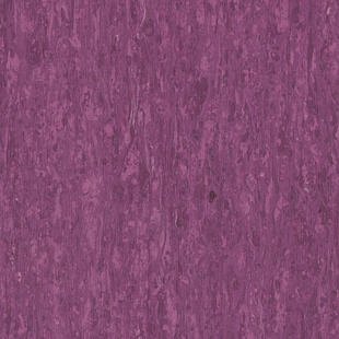 Tarkett iQ Optima Colours Purple 0255, Homogene Vinylgulv